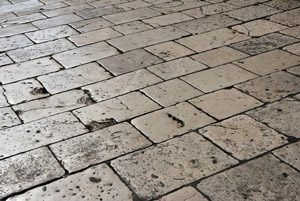 Natural stone tile flooring.