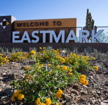 Travertine Tile Repair Services In Eastmark, Mesa